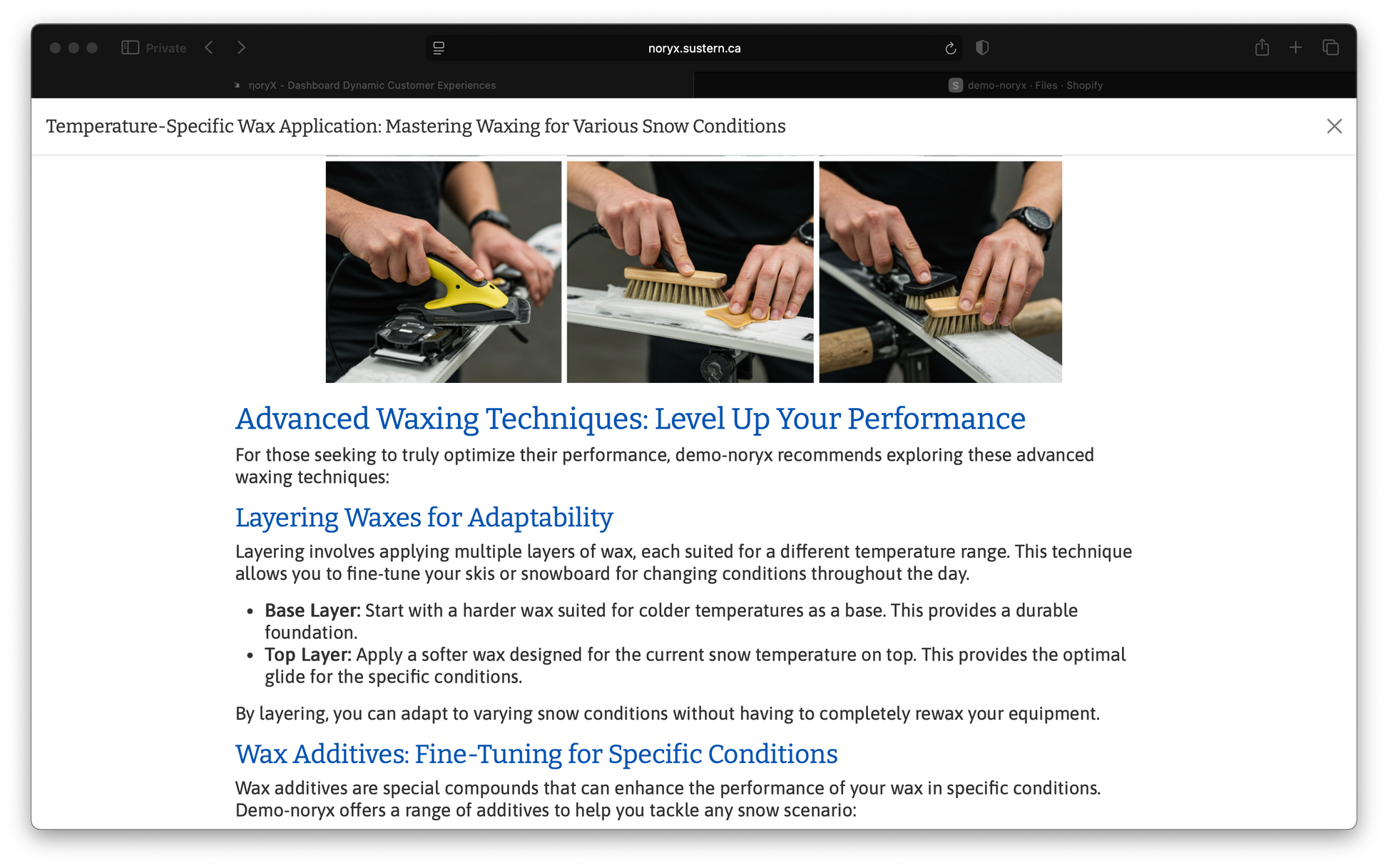Ski & Snowboard Waxing: Advanced techniques for all snow conditions. Temperature-specific wax application demo-noryx