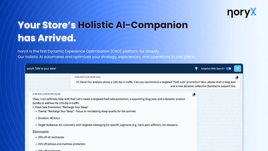 noryX: AI Companion for Shopify - Boosting E-commerce with Data-Driven Flash Sale Promotion